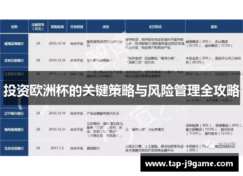 投资欧洲杯的关键策略与风险管理全攻略