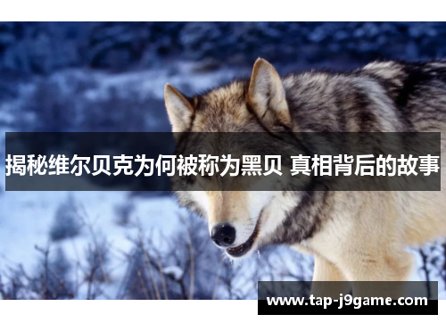 揭秘维尔贝克为何被称为黑贝 真相背后的故事