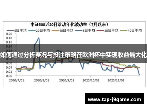 如何通过分析赛况与投注策略在欧洲杯中实现收益最大化 如何通过分析赛况与投注策略在欧洲杯中实现收益最大化